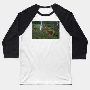 White-tailed Deer Fawn in Junipers Baseball T-Shirt